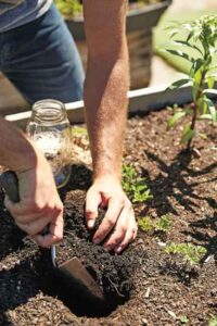 Easy Home Mason Jar Soil Test Image